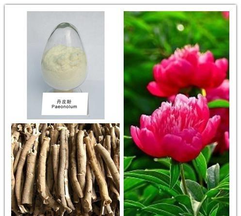 简单介绍:南京泽朗专注优质植物提取物13年,产品都是自主研发,生产